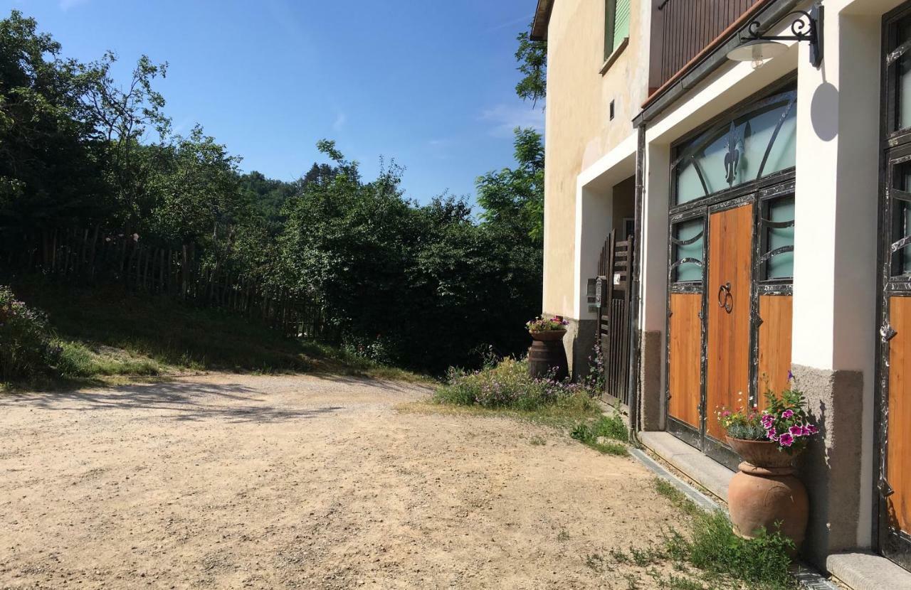 Villa Baronzola Montevarchi Ngoại thất bức ảnh